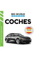 Coches: Spanish Edition