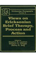 Views On Ericksonian Brief Therapy