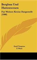 Bergbau Und Huttenwesen: Fur Weitere Kreise Dargestellt (1900)