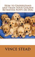 How to Understand and Train Your Golden Retriever Puppy or Dog