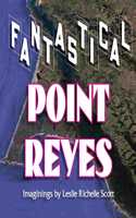 Fantastical Point Reyes