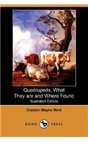 Quadrupeds, What They Are and Where Found (Illustrated Edition) (Dodo Press)