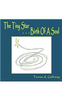 Tiny Star...Birth Of A Soul