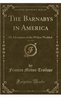 The Barnabys in America, Vol. 1 of 3