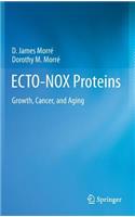 Ecto-Nox Proteins