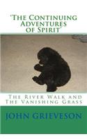 'The Continuing Adventures of Spirit'