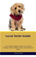 Lucas Terrier Guide Lucas Terrier Guide Includes: Lucas Terrier Training, Diet, Socializing, Care, Grooming, Breeding and More