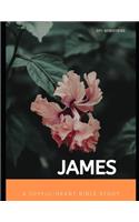 Joyful-Heart Bible Study