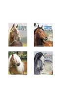 Horse Breeds