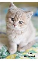 Cat Notebook: 6x 9 Lined Notebook Cat Composition Notebook Journal and Diary100 Pages (Volume 14)