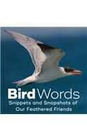 Bird Words