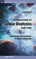 Introduction to Cellular Biophysics, Volume 2