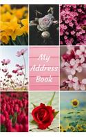 My Address Book