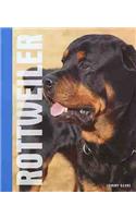 Rottweilers