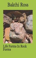 Life Forms In Rock Forms