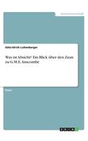 Was ist Absicht? Ein Blick über den Zaun zu G.M.E. Anscombe