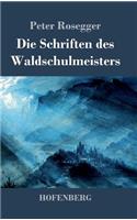 Die Schriften des Waldschulmeisters: Roman(German)