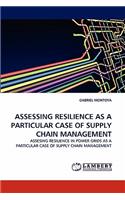 Assessing Resilience as a Particular Case of Supply Chain Management