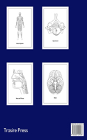 Anatomy coloring book for adults