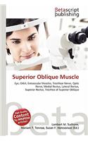 Superior Oblique Muscle: (English)