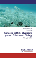 Gangetic Catfish, Clupisoma garua
