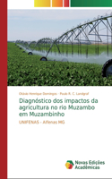 Diagnóstico dos impactos da agricultura no rio Muzambo em Muzambinho