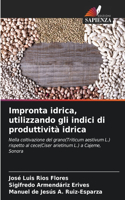 Impronta idrica, utilizzando gli indici di produttività idrica