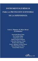 Instrumentos Juridicos Para La Proteccion Sostenible de La Dependencia