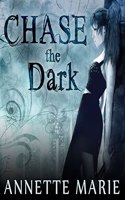 Chase the Dark: Book One of the Steel & Stone Series