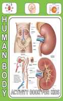 Human Body Activity Book For Kids