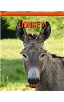 Donkey! An Educational Children's Book about Donkey with Fun Facts