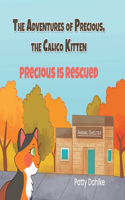 The Adventures of Precious, the Calico Kitten