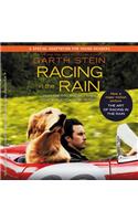 Racing in the Rain