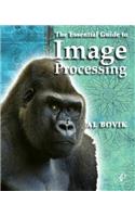 The Essential Guide to Image Processing