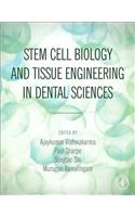 Stem Cell Biology and Tissue Engineering in Dental Sciences