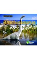 Brachiosaurus: (Dinosaurs)
