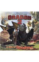 A Tale of Dragons