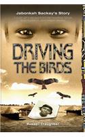 Driving the Birds