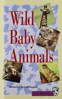 Little Celebrations, Wild Baby Animals, Single Copy, Fluency, Stage 3b