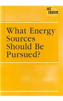 What Energy Sources Should Be Pursued?