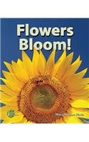 Flowers Bloom!