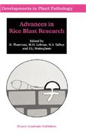 Advances in Rice Blast Research