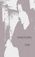 Mending the Ordinary