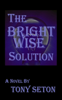 Bright Wise Solution