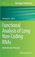 Functional Analysis of Long Non-Coding RNAs: Methods and Protocols(2254 Methods in Molecular Biology)