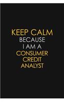 Keep Calm Because I Am A Consumer Credit Analyst