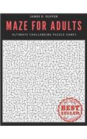 Maze for Adults