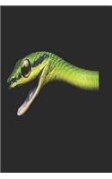 Snake Notebook