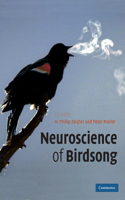 Neuroscience of Birdsong