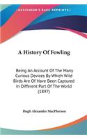 A History Of Fowling